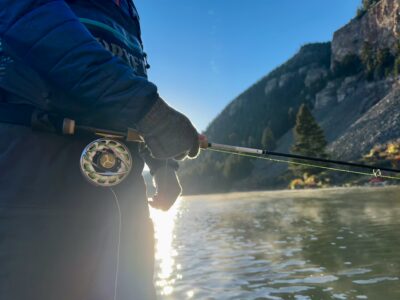 orvis helios