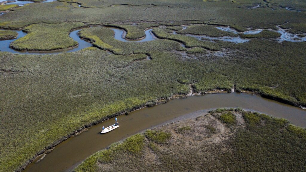 pawleys Island Fishing Guide