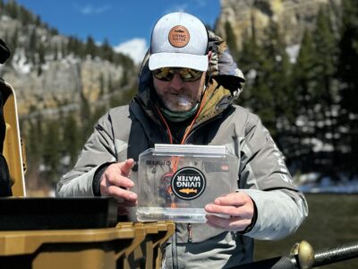 streamer-Fishing-sink-tip fly lines