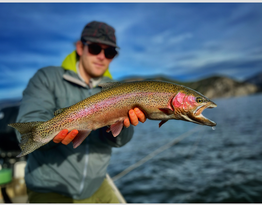 Streamer Fishing the Land of the Giants ~ Living Water Fly Fishing