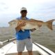 parley island fishing charter-huge redfish