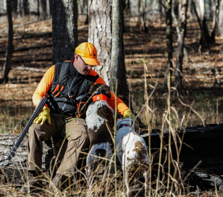 Upland Hunting South Carolina